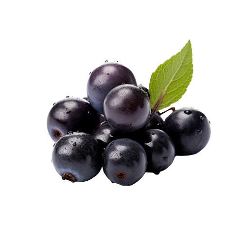 Jamun